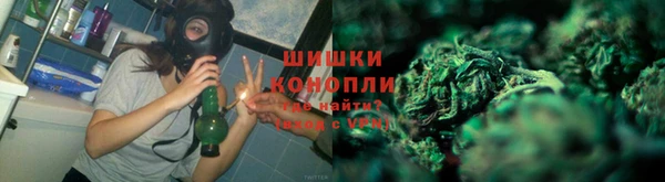 МДПВ Козловка