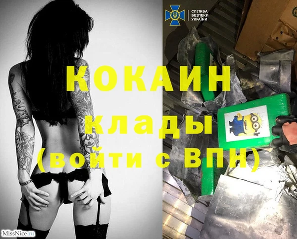 спиды Кодинск