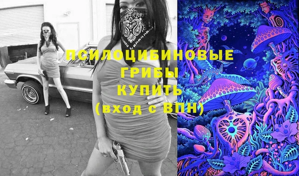 МДПВ Козловка