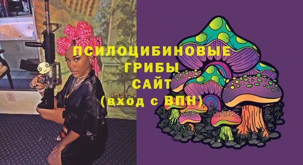 спиды Кодинск