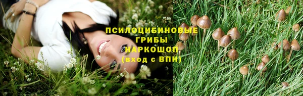 МДПВ Козловка