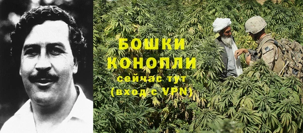 МДПВ Козловка