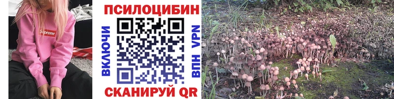 Галлюциногенные грибы Cubensis  Купить  Кстово 